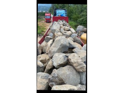 大量收购护坡石图1