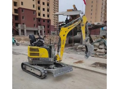 郑州市微型挖机出租图1